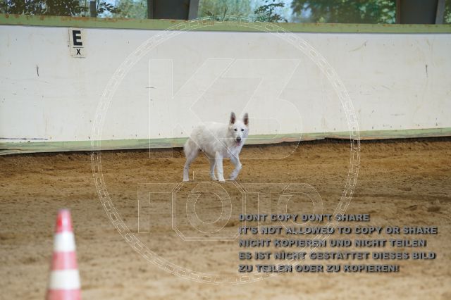 a_K3F04255.JPG